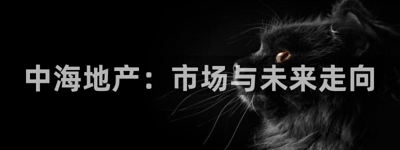 天狮娱乐q39096s：中海地产：市场与未来走向