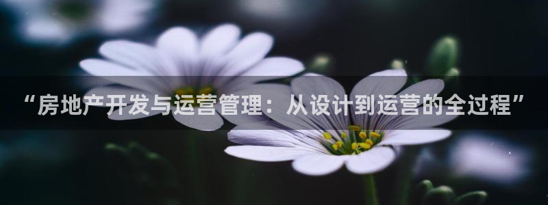 天狮娱乐代理找谁：“房地产开发与运营管理：从设计到运营的全过