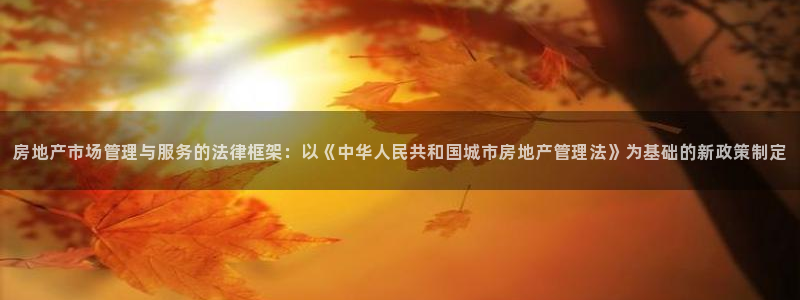 天狮娱乐道：房地产市场管理与服务的法律框架：以《中华人民共和
