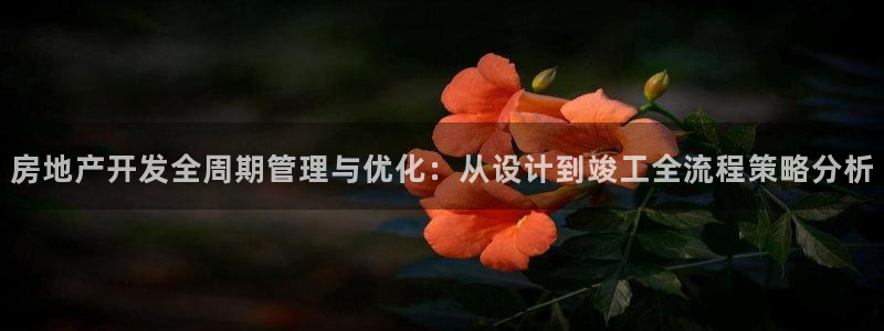 天狮娱乐是正规平台吗：房地产开发全周期管理与优化：从设计到竣