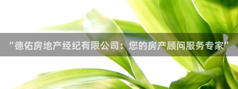 天狮娱乐是什么：“德佑房地产经纪有限公司：您的房产顾问服务专