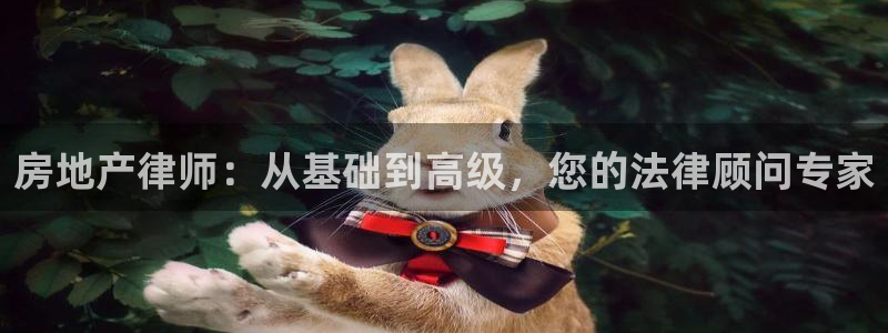 天狮娱乐官网登录地址：房地产律师：从基础到高级，您的法律顾问