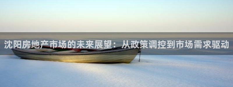 石家庄天狮娱乐会所：沈阳房地产市场的未来展望：从政策调控到市