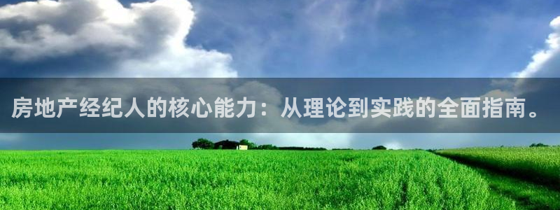 天狮娱乐招商66六26：房地产经纪人的核心能力：从理论到实践