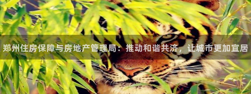 天狮娱乐怎样玩：郑州住房保障与房地产管理局：推动和谐共济，让