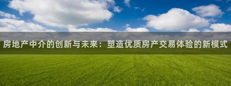 天狮娱乐网：房地产中介的创新与未来：塑造优质房产交易体验的新