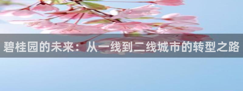 天狮娱乐卧j主管60447：碧桂园的未来：从一线到二线城市的