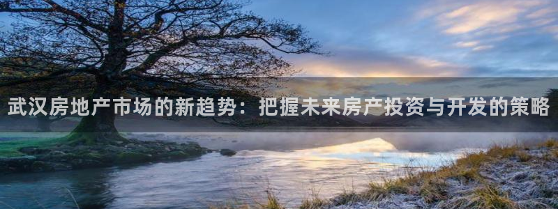 天狮娱乐815422：武汉房地产市场的新趋势：把握未来房产投