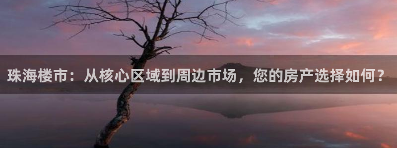 天狮娱乐指尖年：珠海楼市：从核心区域到周边市场，您的房产选择