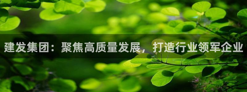 天狮娱乐a.主管57661：建发集团：聚焦高质量发展，打造行