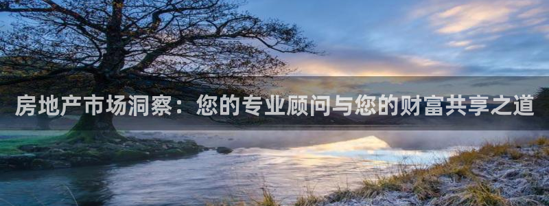 龙湖狮山天街娱乐：房地产市场洞察：您的专业顾问与您的财富共享