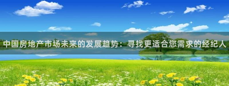 天狮娱乐主管191166薇星h：中国房地产市场未来的发展趋势