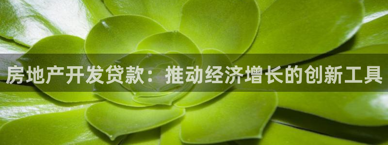 天狮娱乐分分彩平台：房地产开发贷款：推动经济增长的创新工具