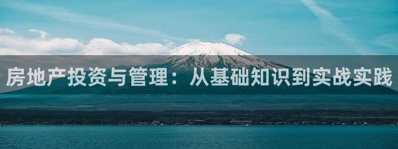 天狮娱乐挂机：房地产投资与管理：从基础知识到实战实践