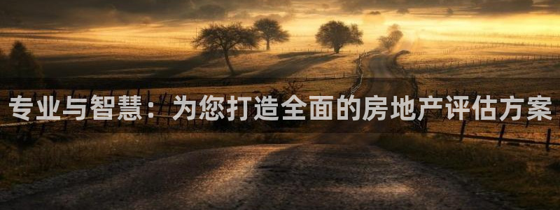 天狮娱乐 amp c主管20476：专业与智慧：为您打造全面
