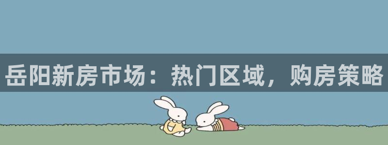 天狮娱乐鱼刺A软件：岳阳新房市场：热门区域，购房策略