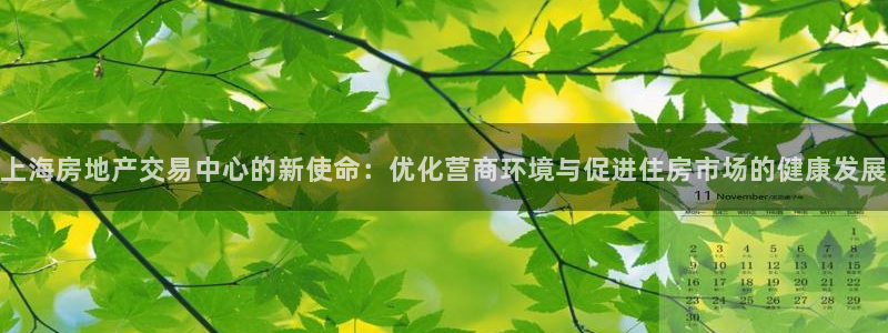 天狮娱乐950954：上海房地产交易中心的新使命：优化营商环