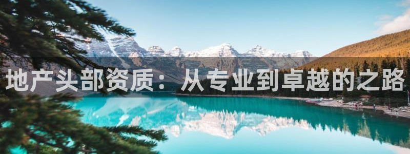天狮娱乐注册71009：地产头部资质：从专业到卓越的之路