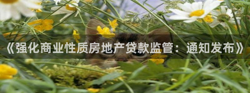 天狮娱乐f 判官