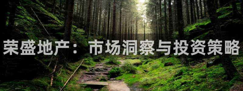 天狮娱乐950594：荣盛地产：市场洞察与投资策略