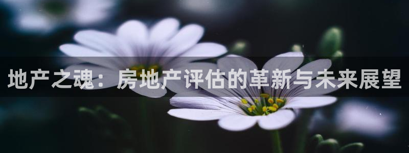 天狮会娱乐会所图片：地产之魂：房地产评估的革新与未来展望