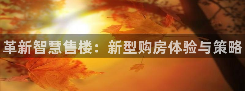 天狮娱乐 接待 0：革新智慧售楼：新型购房体验与策略