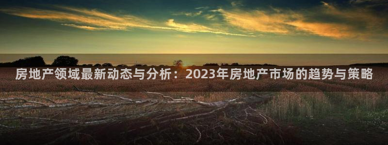 如何成为天狮娱乐的会员：房地产领域最新动态与分析：2023年