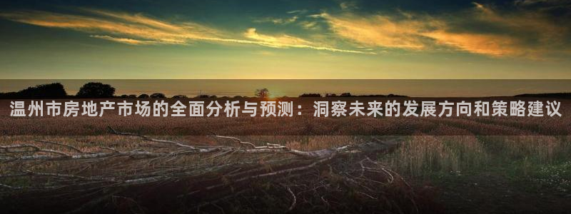 天狮娱乐问天神：温州市房地产市场的全面分析与预测：洞察未来的