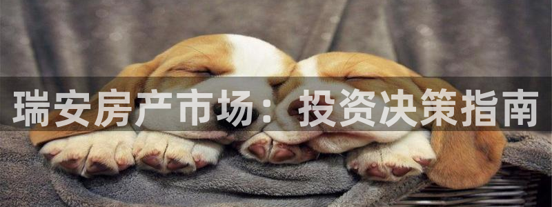 天狮娱乐平台怎么样：瑞安房产市场：投资决策指南
