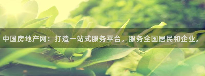 天狮娱乐1990：中国房地产网：打造一站式服务平台，服务全国