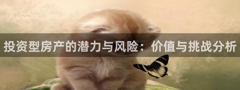 天狮娱乐b 判官：投资型房产的潜力与风险：价值与挑战分析
