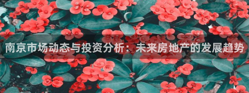 天狮娱乐 a招商67646：南京市场动态与投资分析：未来房地