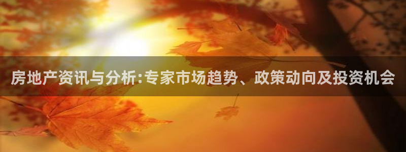 狮山天街休闲娱乐：房地产资讯与分析:专家市场趋势、政策动向及