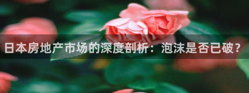 天狮娱乐 b运营67646：日本房地产市场的深度剖析：泡沫是