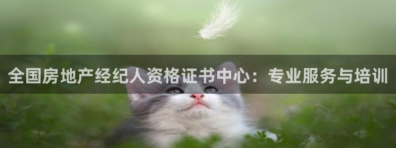 天狮娱乐非法吗：全国房地产经纪人资格证书中心：专业服务与培训