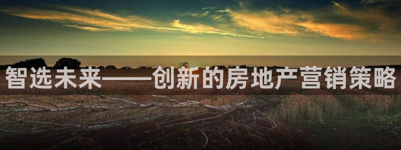 天狮娱乐代理注册：智选未来——创新的房地产营销策略