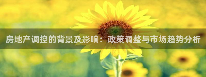 天狮娱乐-扣 股东：房地产调控的背景及影响：政策调整与市场趋