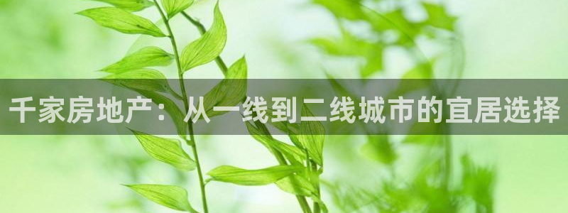 天狮学院娱乐：千家房地产：从一线到二线城市的宜居选择