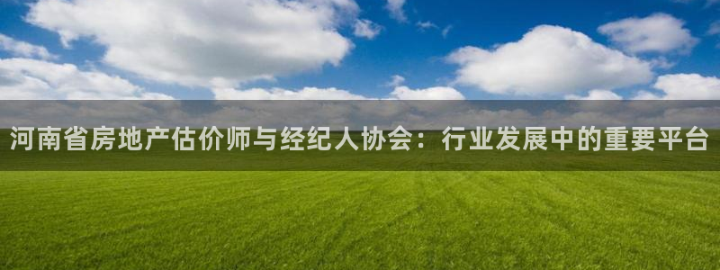 天狮娱乐运营29229：河南省房地产估价师与经纪人协会：行业