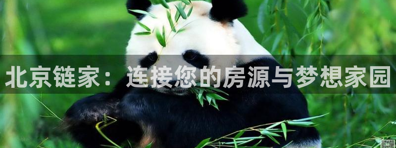 天狮娱乐手机：北京链家：连接您的房源与梦想家园