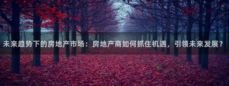 天狮娱乐平台招商：未来趋势下的房地产市场：房地产商如何抓住机