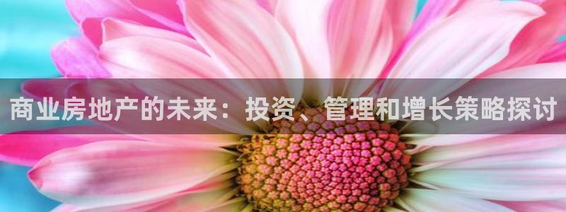 天狮娱乐950954：商业房地产的未来：投资、管理和增长策略