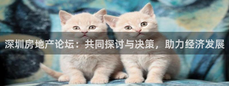 天狮娱乐能赚钱吗：深圳房地产论坛：共同探讨与决策，助力经济发