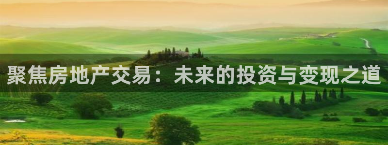天狮娱乐总部在哪里：聚焦房地产交易：未来的投资与变现之道