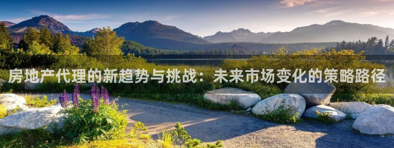 天狮娱乐湫333 00：房地产代理的新趋势与挑战：未来市场变