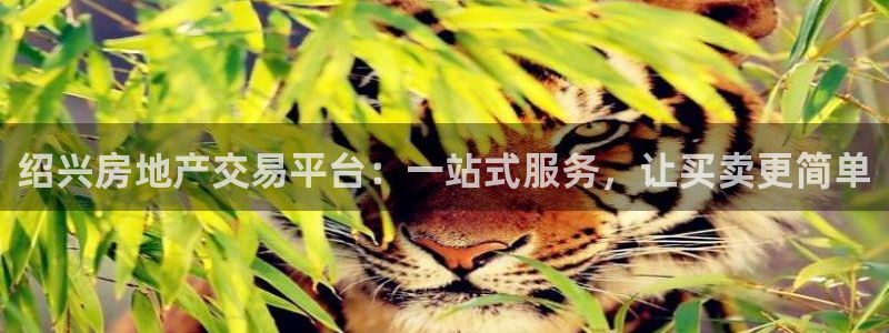 天狮娱乐股东Q 882092：绍兴房地产交易平台：一站式服务