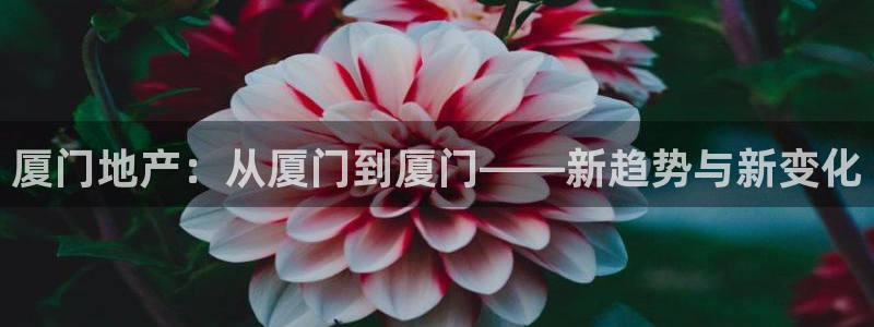天狮娱乐815422：厦门地产：从厦门到厦门——新趋势与新变