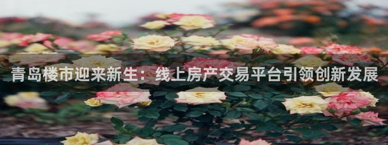 天狮娱乐然：青岛楼市迎来新生：线上房产交易平台引领创新发展