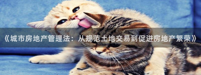 天狮娱乐方：《城市房地产管理法：从规范土地交易到促进房地产繁