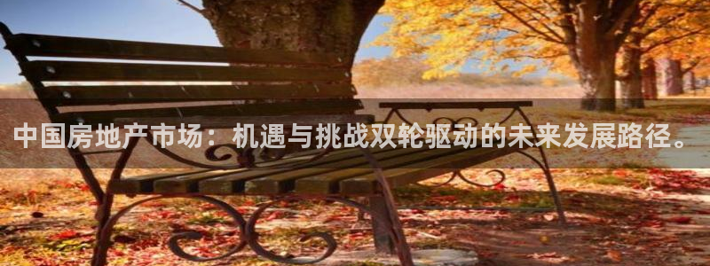 天狮娱乐股东主管：中国房地产市场：机遇与挑战双轮驱动的未来发